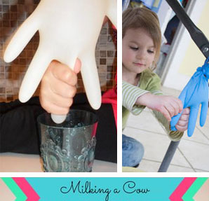 Educating CHildren|Preschool|Science|food|Milk a Cow 