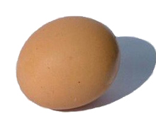 Educating CHildren|Preschool|Science|purim|Raw or Boiled Egg?